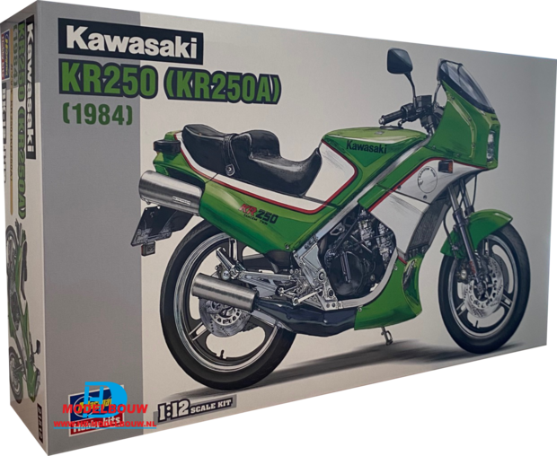 Kawasaki KR250 (1984) (Hasegawa 21512)
