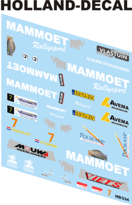 Mitsubishi Evo IX Shortrally 2013 1/43 (HD334)